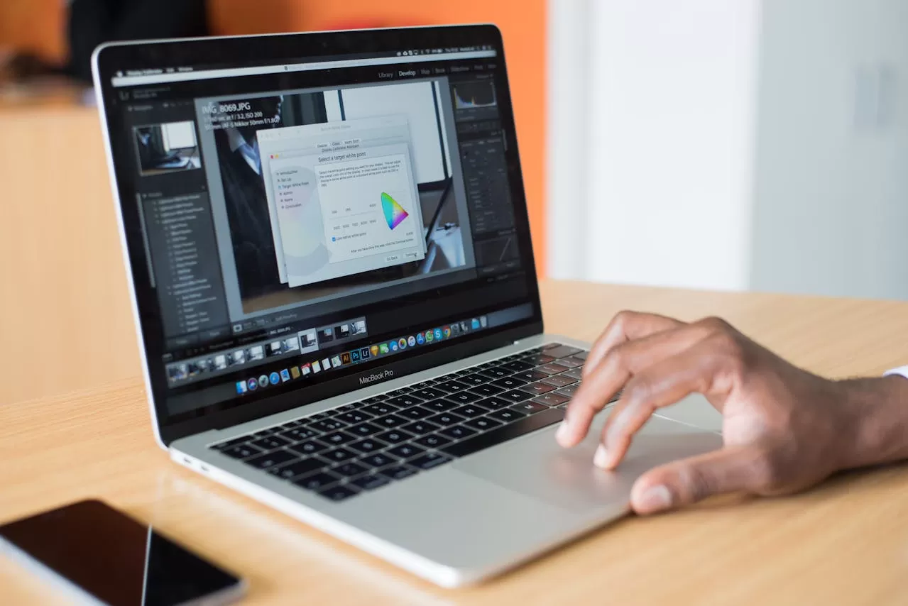 What services do professional multimedia localization translation companies provide?