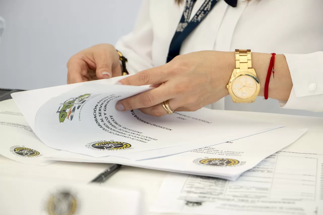 How much does it cost to translate an audit report into English?