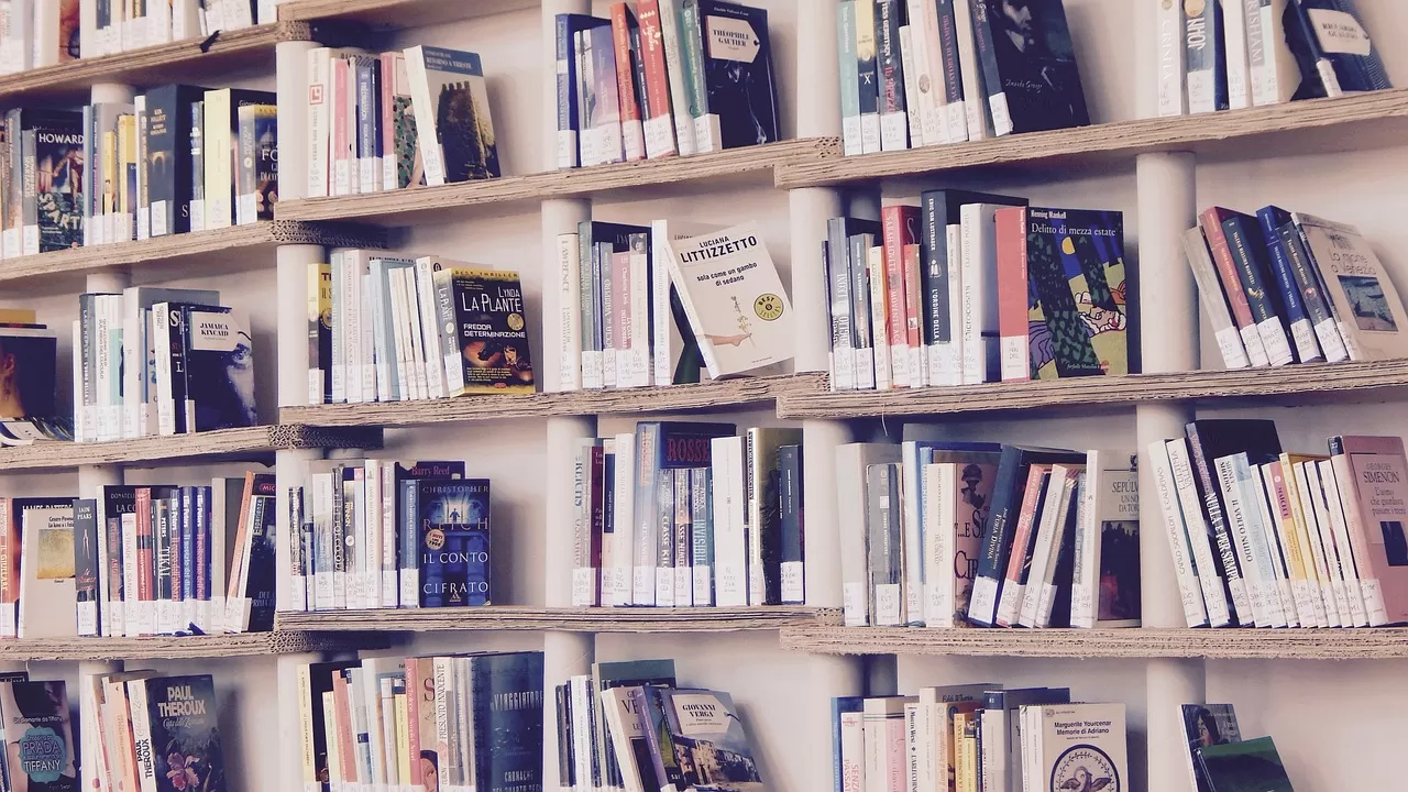 How do professional translation companies charge for book translation services?