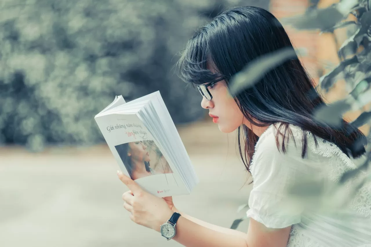 What are the fees for online novel translation?