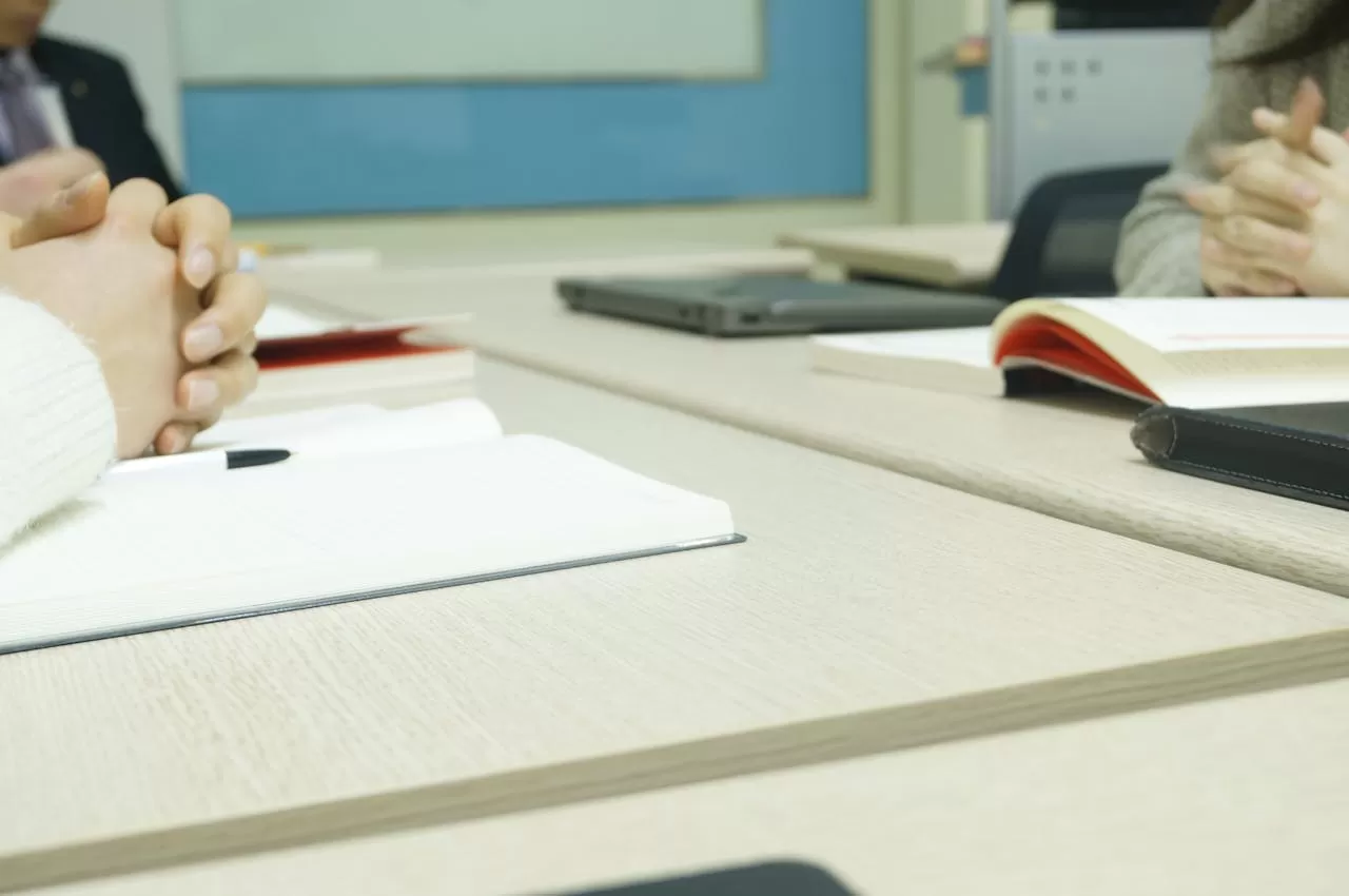 What services do small language translation companies provide?