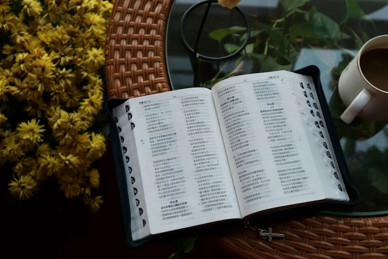 How much does it cost to translate 1,000 words from Chinese to Vietnamese?