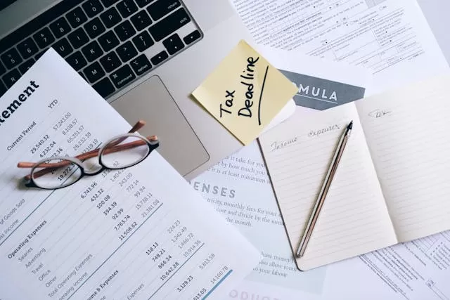 Financial Audit Report Translation Notes-Professional Translation Company