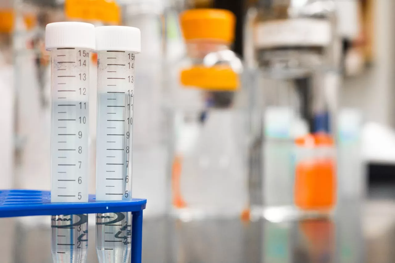 What should I pay attention to when choosing a medical translation company?