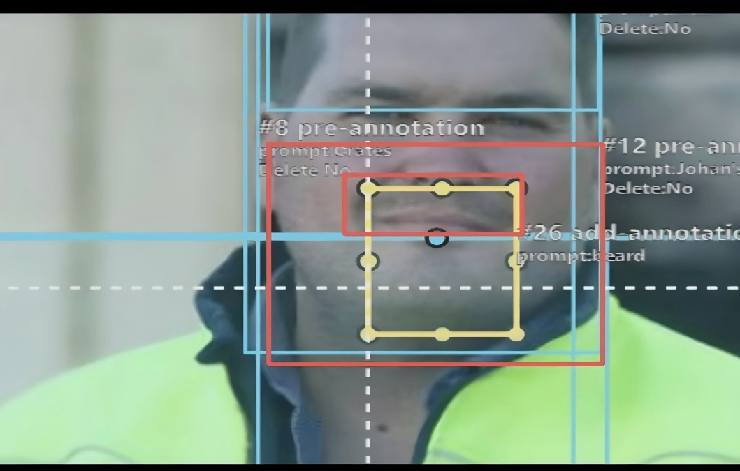 2D Image Bounding Box Annotation (Including Pre-Annotated Box Inspection + Multi-Type Supplementary Boxes)(图2) 2D Image Bounding Box Annotation (Including Pre-Annotated Box Inspection + Multi-Type Supplementary Boxes)(图2)