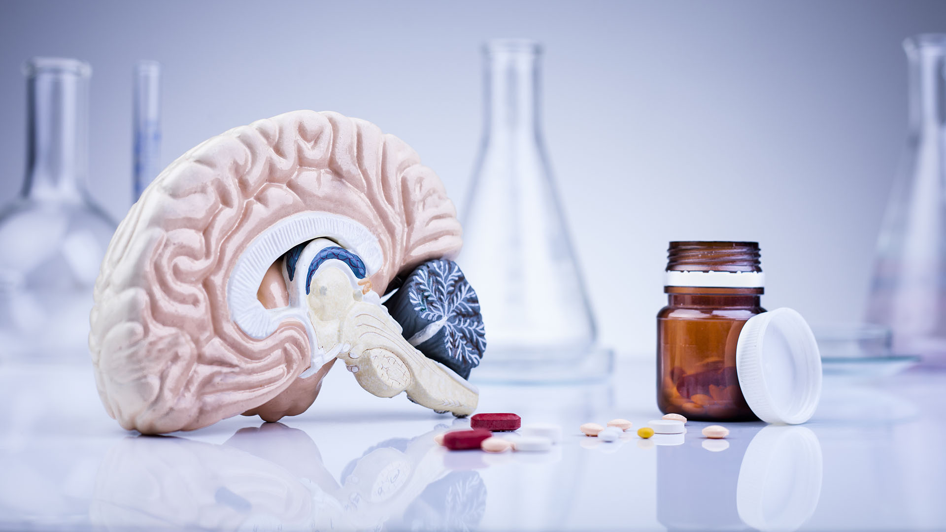 2026 Drug Manual Translation Service | FDA/EMA Compliant Pharma Translation