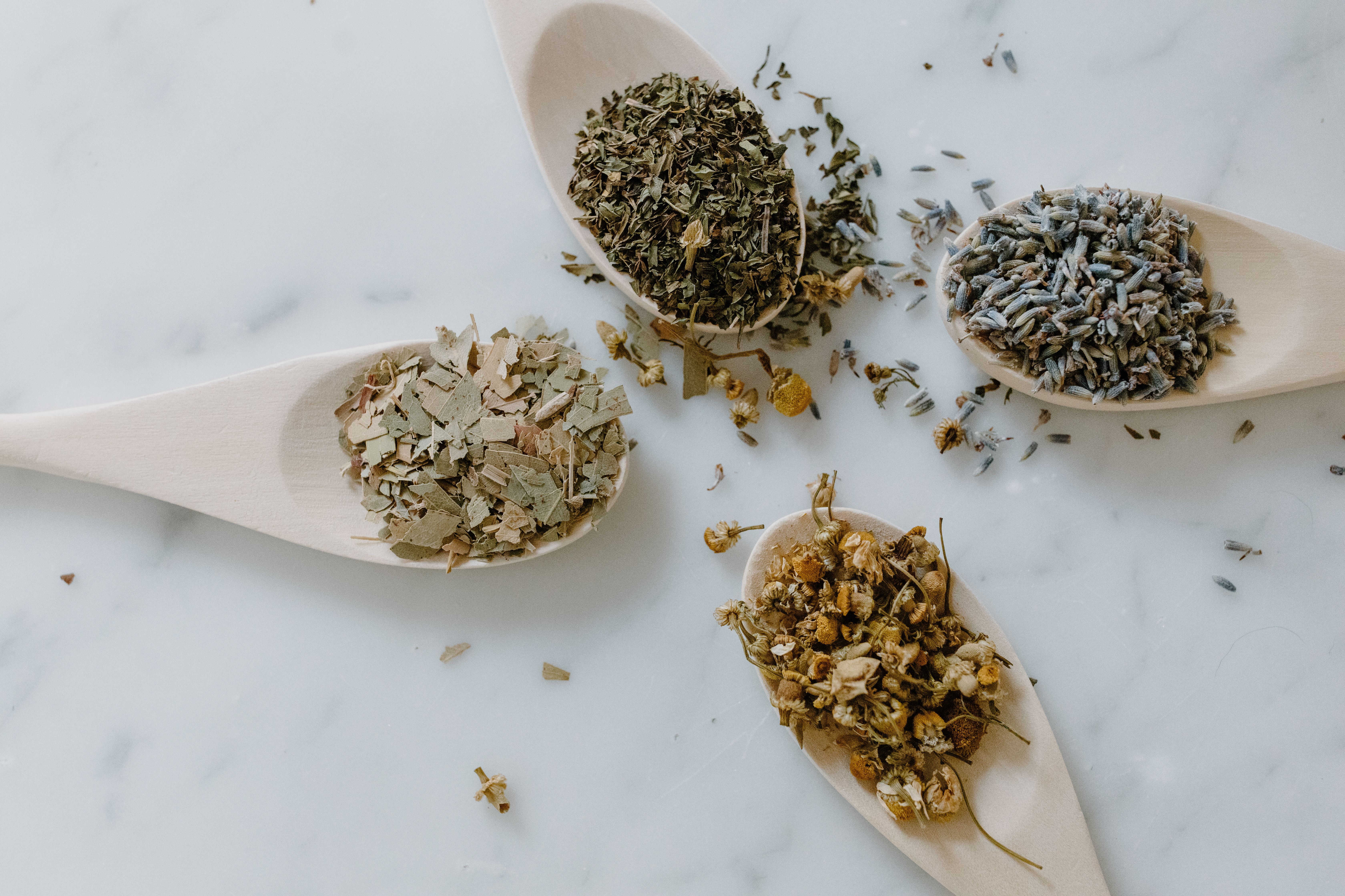 Bridging Ancient Wisdom and Global Health: The Art of Translating Traditional Chinese Medicine Terminology